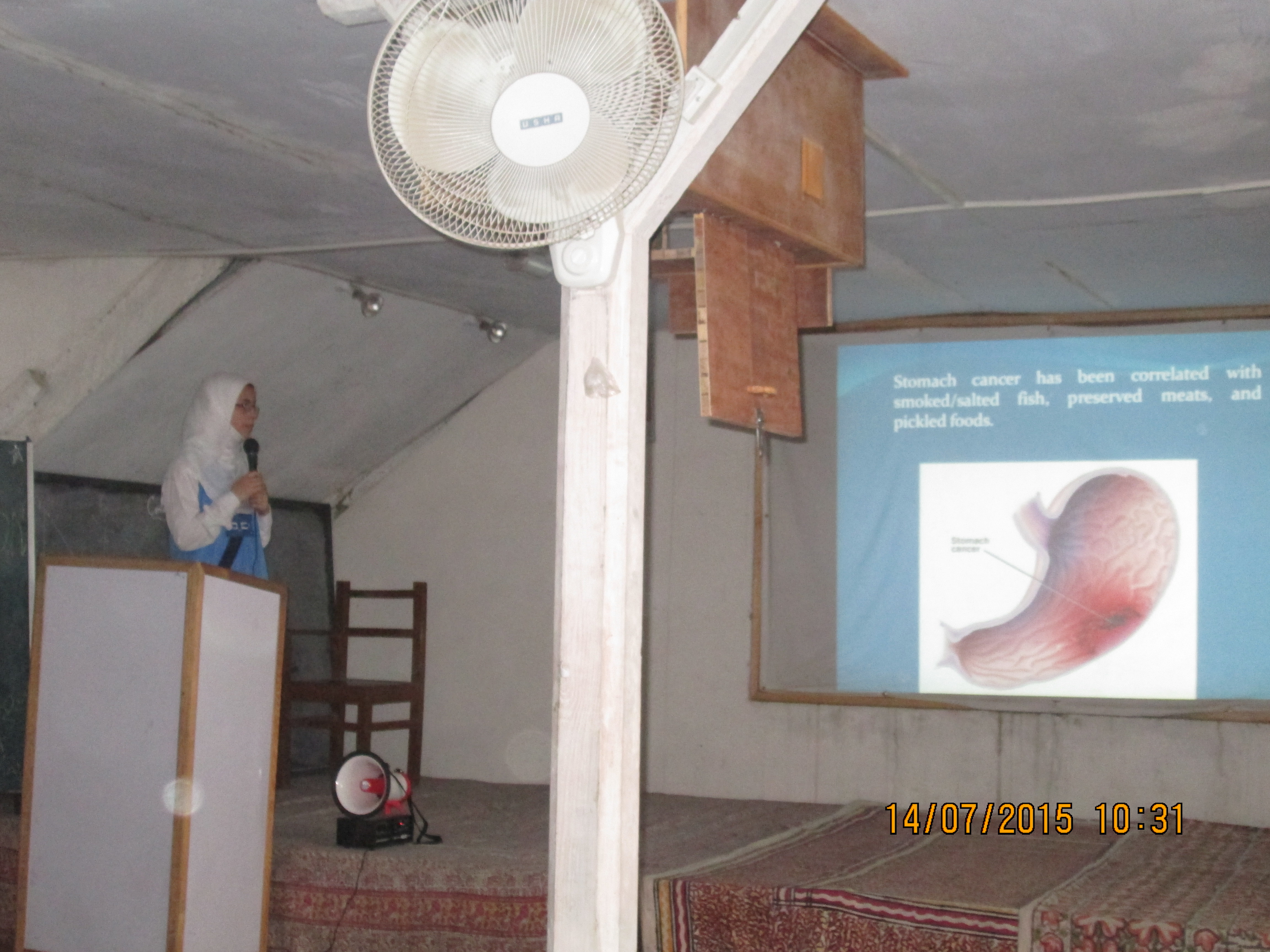 Pic 3
